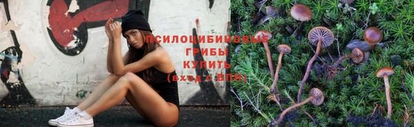 герыч Михайловск