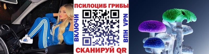 Псилоцибиновые грибы Psilocybe  Микунь 